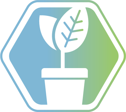 your right to choose